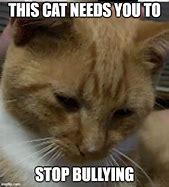 Image result for Cat Bully Meme