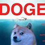 Image result for Doge Wallpape 4K
