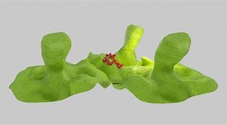 Image result for Chlamydia 3D Model