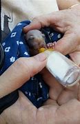 Image result for babies bats care
