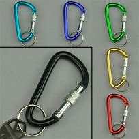 Image result for mini keychains carabiner