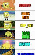 Image result for Linux Distro Memes