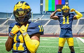 Image result for Michigan College Football