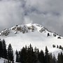 Image result for Alta Utah Snow