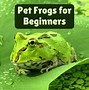Image result for pets tree frogs species