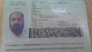 Image result for Pakistan Passport