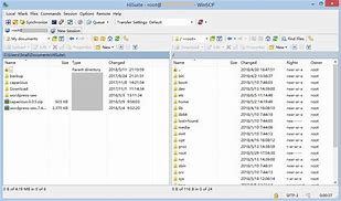 Image result for WinSCP Transfer Files