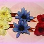 Image result for Vanilla Flower Hair Pin