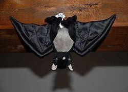 Image result for Black Rubber Bat Toy