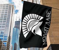 Image result for Molon Labe Flag