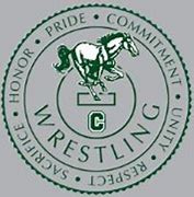 Image result for Elementary School Boys Wrestling Teams