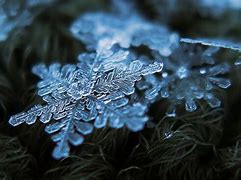 Image result for Up Close Swirling Snowflake Images