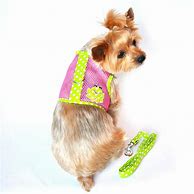 Image result for Cool Dog Harness