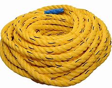 Image result for Velour Stanchion Rope