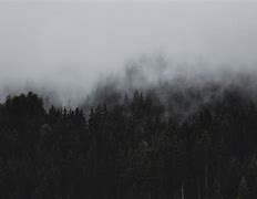 Image result for Foggy iPhone Screen