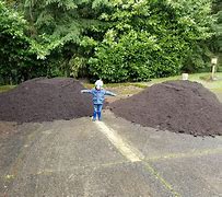 Image result for What Does 10 Yards of Dirt Look Like