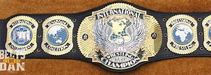 Image result for Custom Pro Wrestling Belts