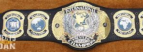 Image result for Customized Wrestling Belt
