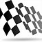 Image result for Checker Flag Images