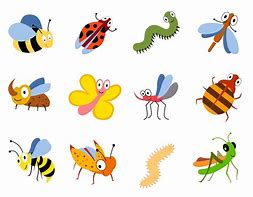 Image result for Cute Bug Cartoon