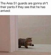 Image result for Cat Meme Here He Comes