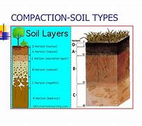 Image result for Soil Compaction