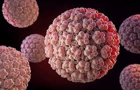 Image result for Early Genital Human Papillomavirus