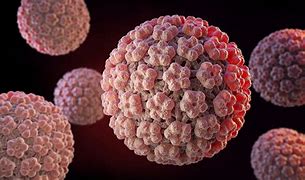 Image result for Disease Caused by Human Papillomavirus