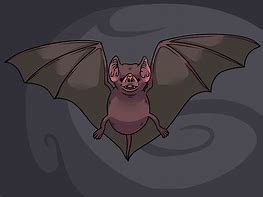 Image result for How to Draw a Cute Bat