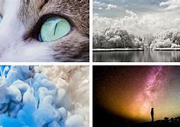 Image result for Photography Projects