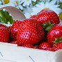Image result for Delicious Strawberries