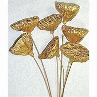 Image result for Gold Lotus Pod