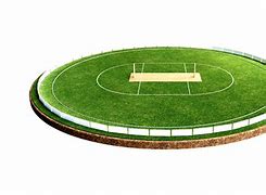 Image result for Cricket