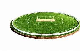 Image result for Cricket Play PNG