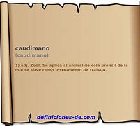 Image result for caudimano