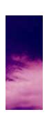 Image result for Cotton Candy in a Cloud