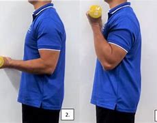 Image result for Long Head Bicep Curls