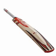 Image result for First Cricket Bat