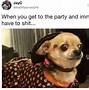 Image result for Thug Chihuahua Meme