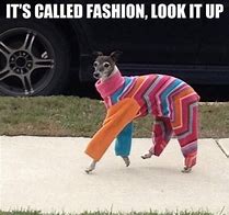 Image result for Fashion Office Meme
