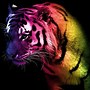 Image result for Neon Tiger iPhone