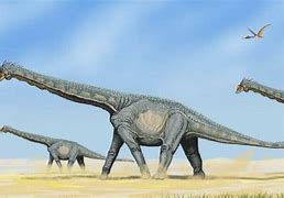 Image result for Biggest Animal of All Time