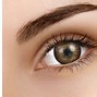 Image result for Green Colored Contact Lenses