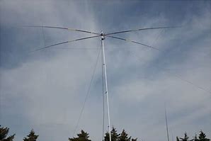 Image result for 15 Meter Moxon