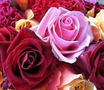 Image result for 3D Flower Wallpapers Rose