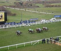 Image result for Ascot Racing Results Today