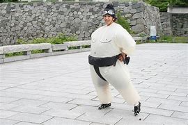 Image result for Sumo Suit Fun