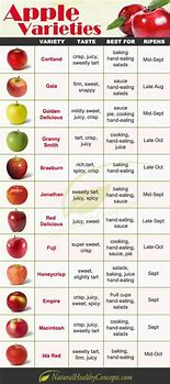 Image result for apples varieties chart