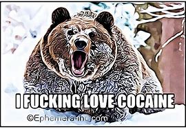 Image result for Crack Cocaine Meme