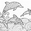 Image result for Dolphin Adult Coloring Pages